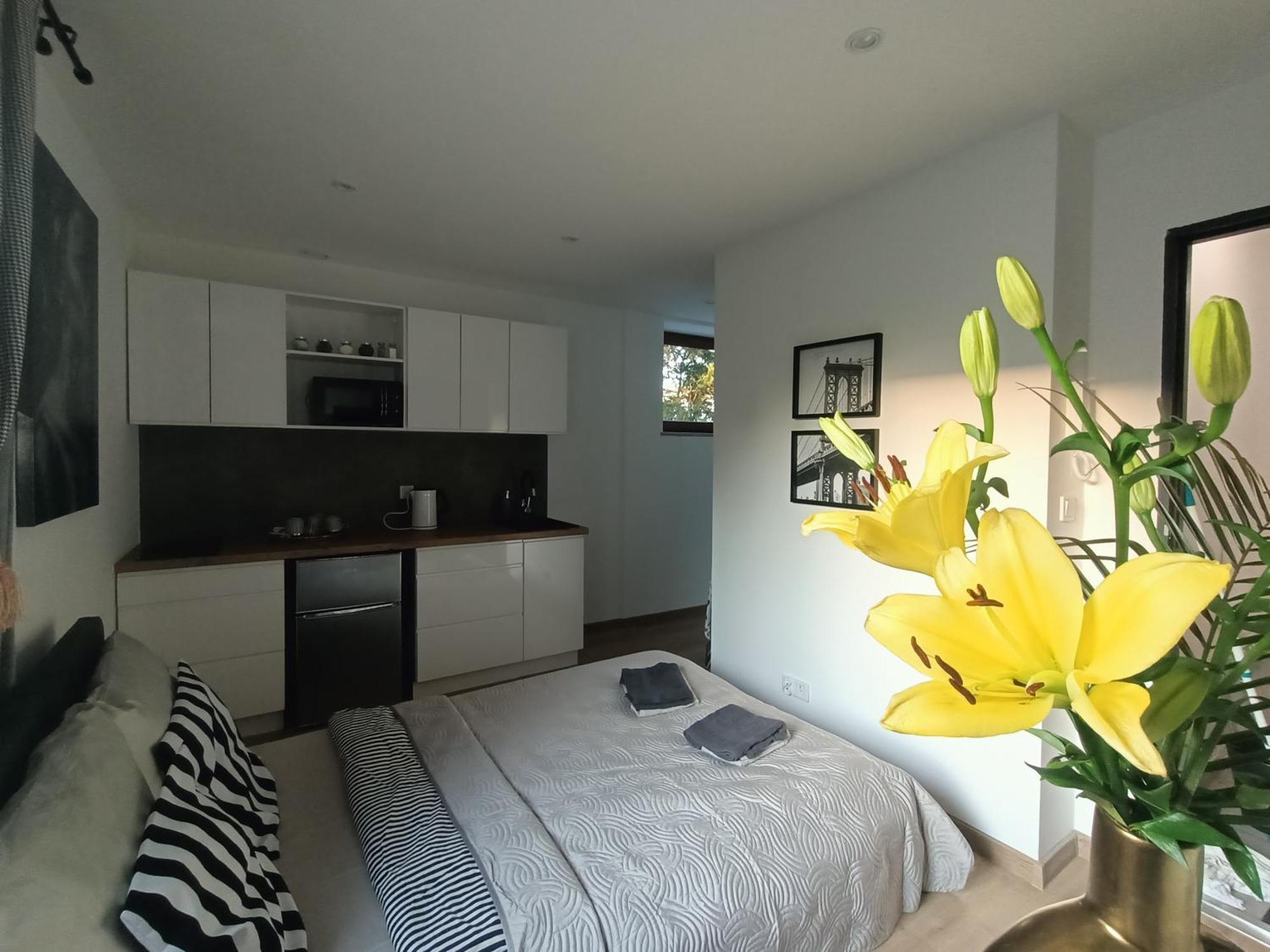 Royal Evitabocelli Spodek By Walk Apartment *