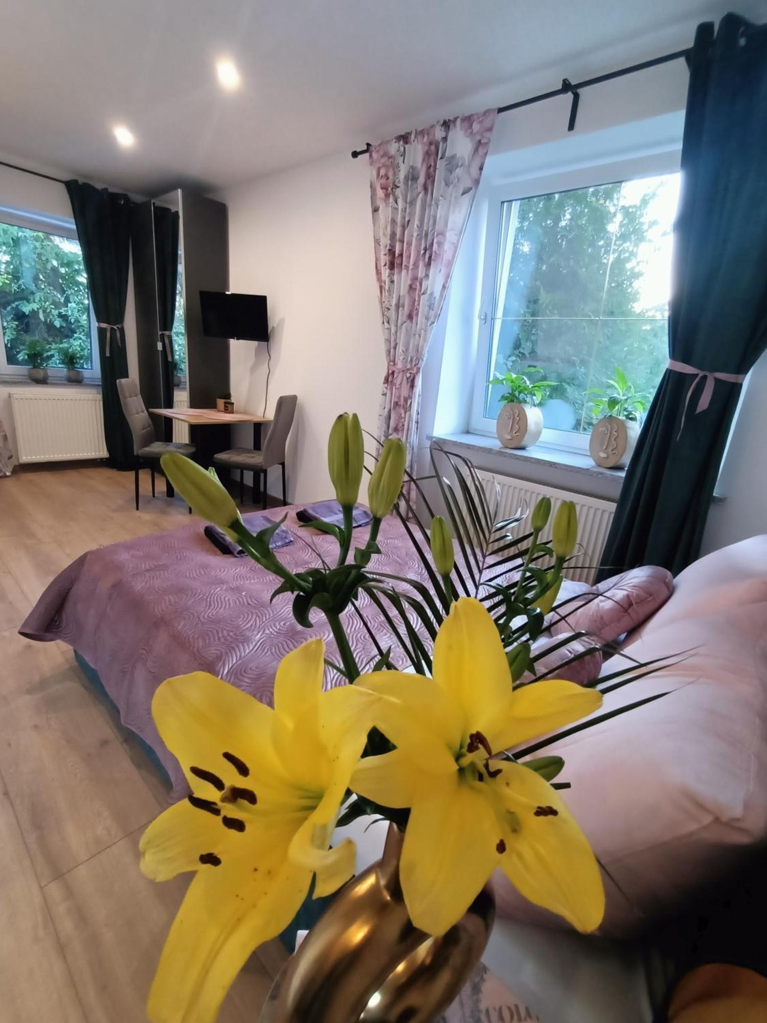 Apartment Royal Evitabocelli Spodek By Walk *