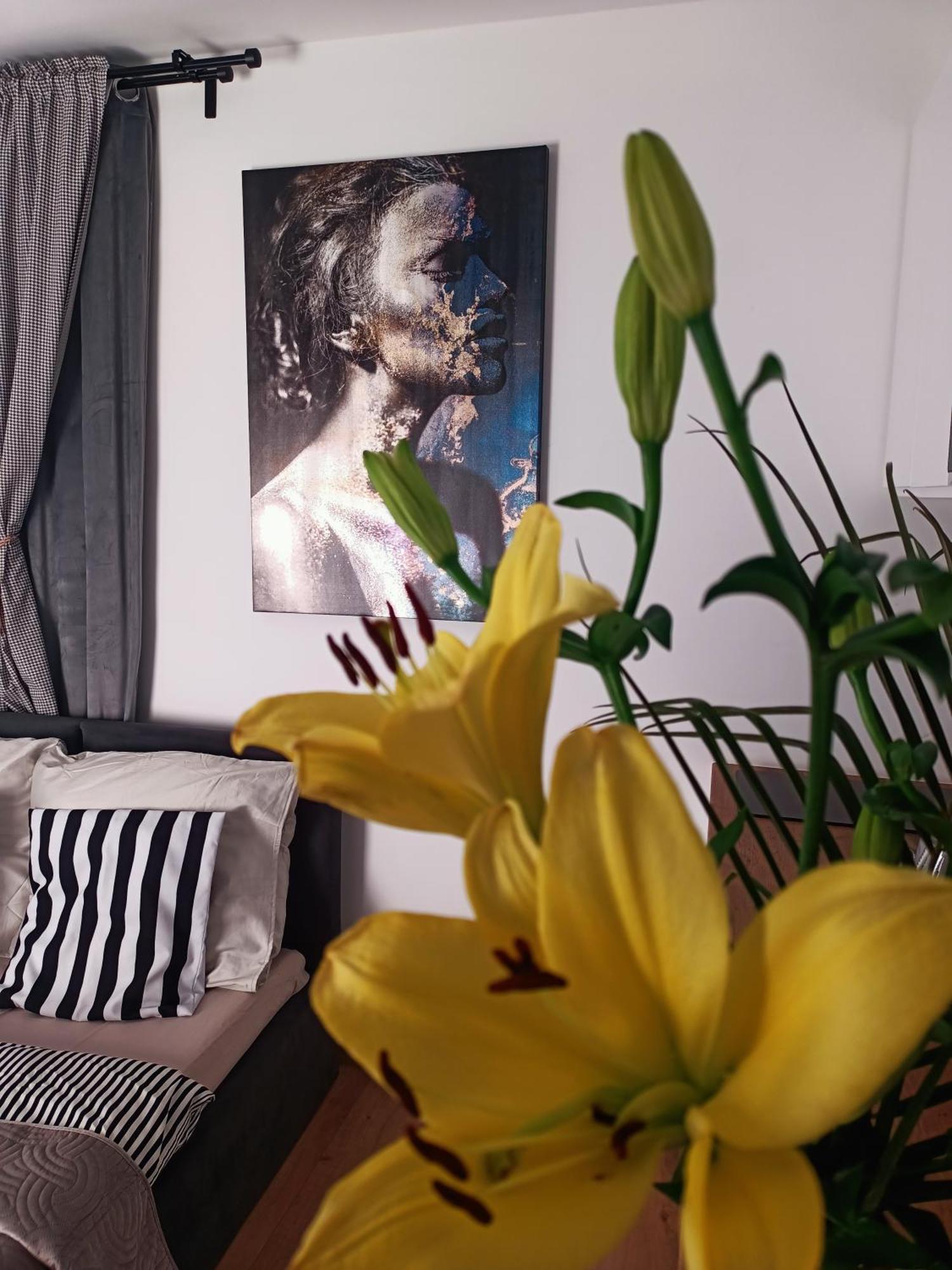 Apartment Royal Evitabocelli Spodek By Walk